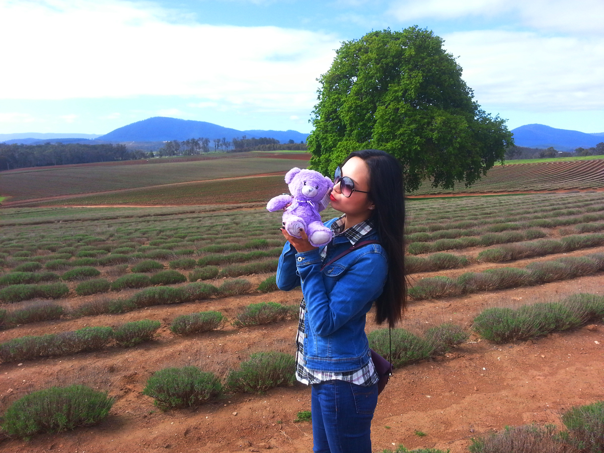 Bay of Fires Day Tour