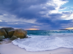 Bay of Fires Coach Day Tour Tasmania