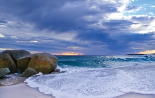 Bay of Fires Coach Day Tour Tasmania