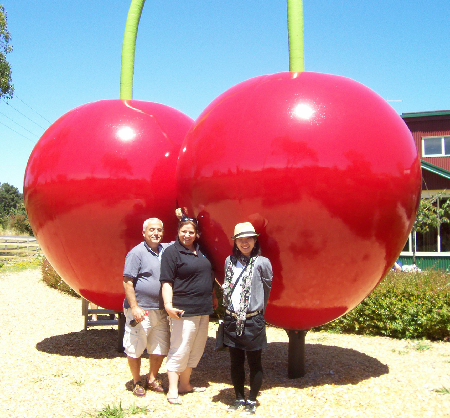 Launceston Food and Wine Day Tour