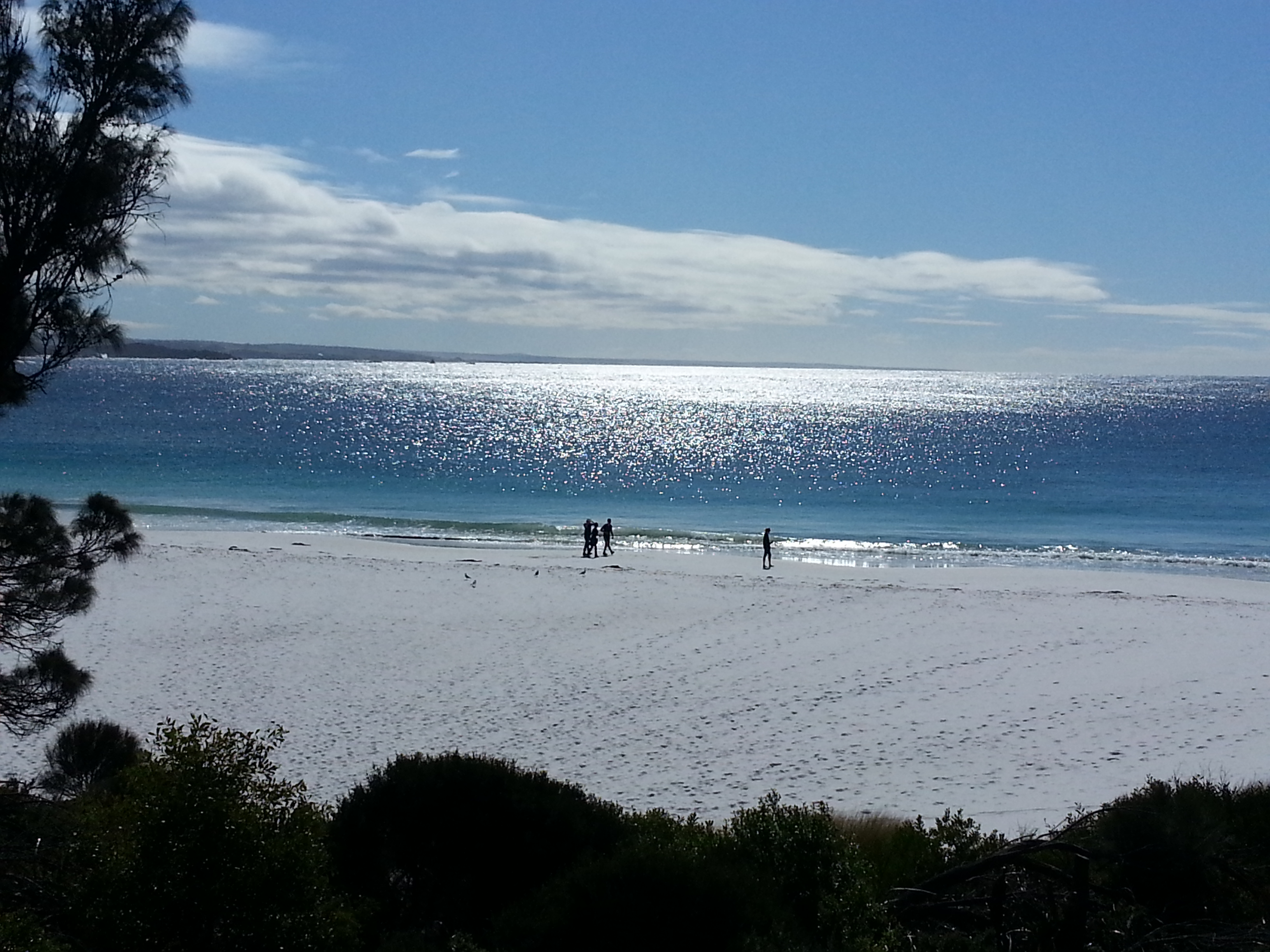 Bay of Fires Day Tour