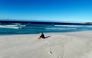 Bay of Fires Day Tour