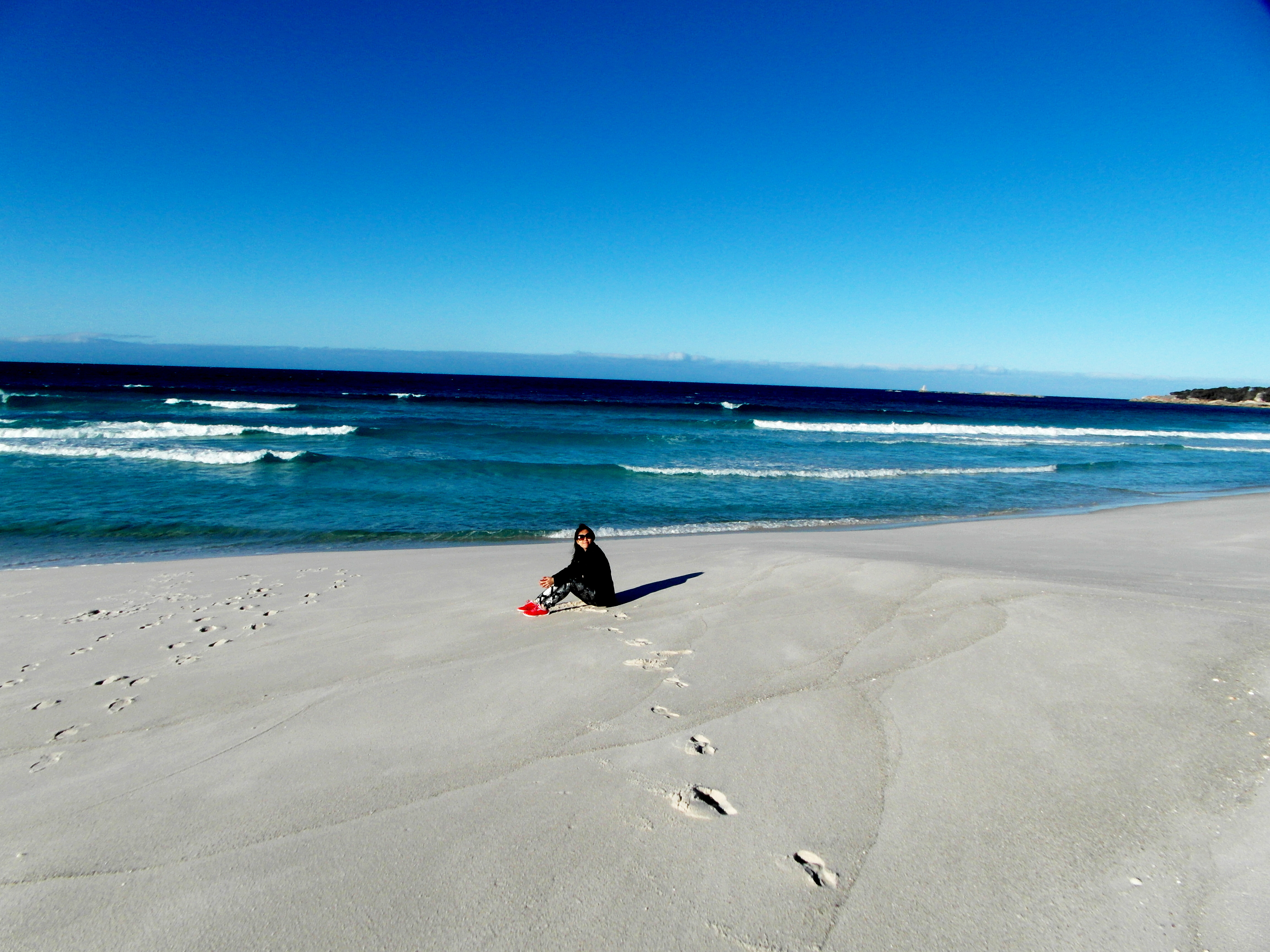 Bay of Fires Day Tour